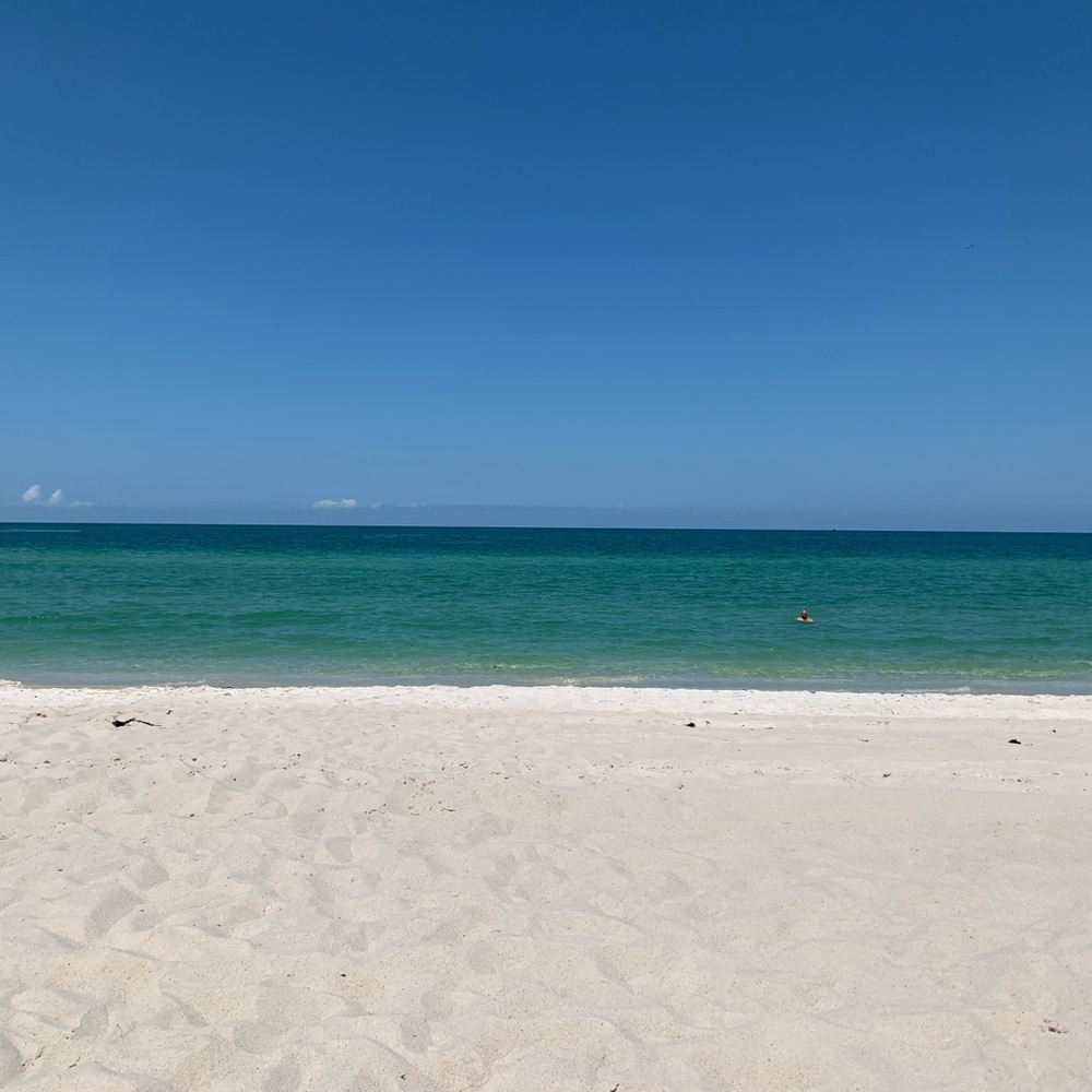 Meet your Posher, J Zav